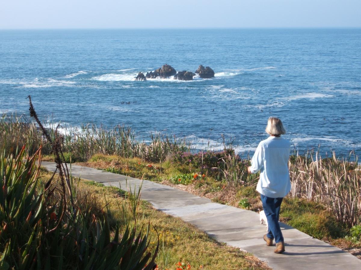 Smuts Ave. Guest Rooms Hermanus Zewnętrze zdjęcie